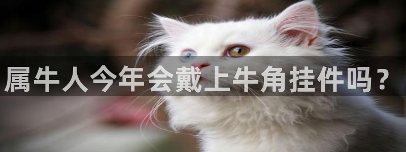 威九国际平台app下载安装：属牛人今年会戴上牛角挂件吗？