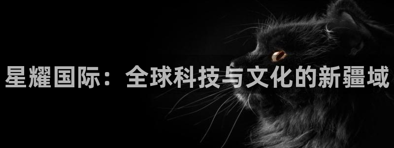 壹号下载官网入口：星耀国际：全球科技与文化的新疆域