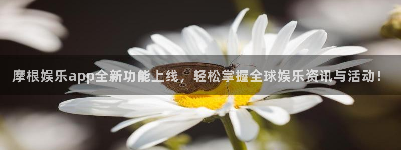 壹号大舞台下载：摩根娱乐app全新功能上线，轻松掌握全球娱乐资讯与活动！