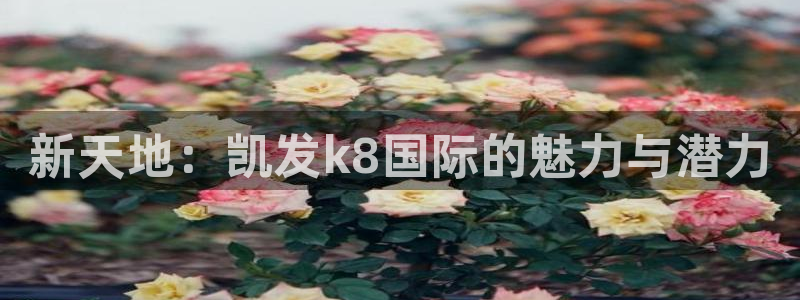 威九国际app：新天地：凯发k8国际的魅力与潜力