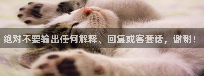 威九国际app官网下载：绝对不要输出任何解释、回复或客套话，谢谢！