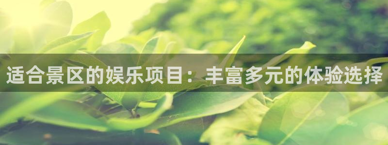 壹号大舞台：适合景区的娱乐项目：丰富多元的体验选择