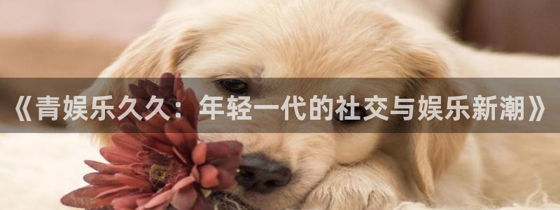 壹号电子娱乐app下载最新版本安装：《青娱乐久久：年轻一代的社交与娱乐新潮》