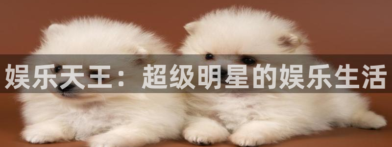 壹号app官网：娱乐天王：超级明星的娱乐生活