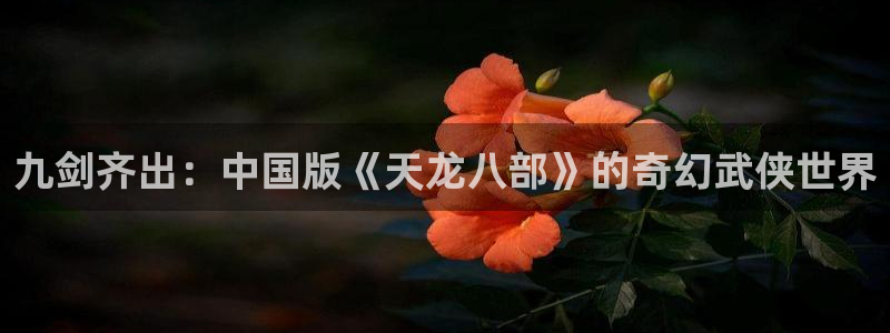 壹号平台下载安装官网：九剑齐出：中国版《天龙八部》的奇幻武侠世界