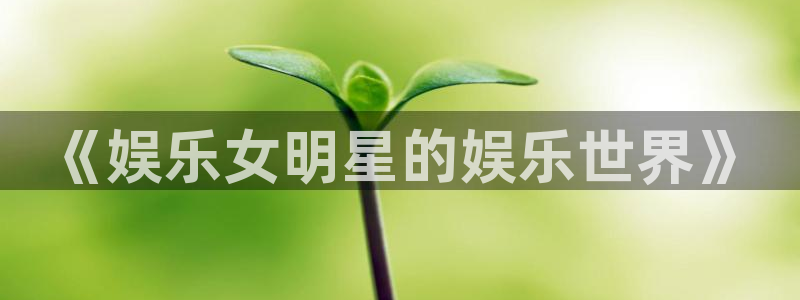 壹号大舞台怎么注册：《娱乐女明星的娱乐世界》